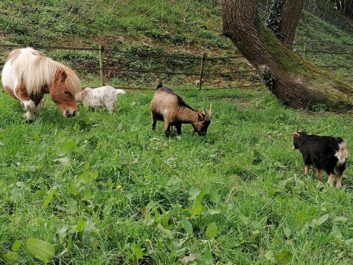 Au Pre De Mukky Villa Andenne Bagian luar foto