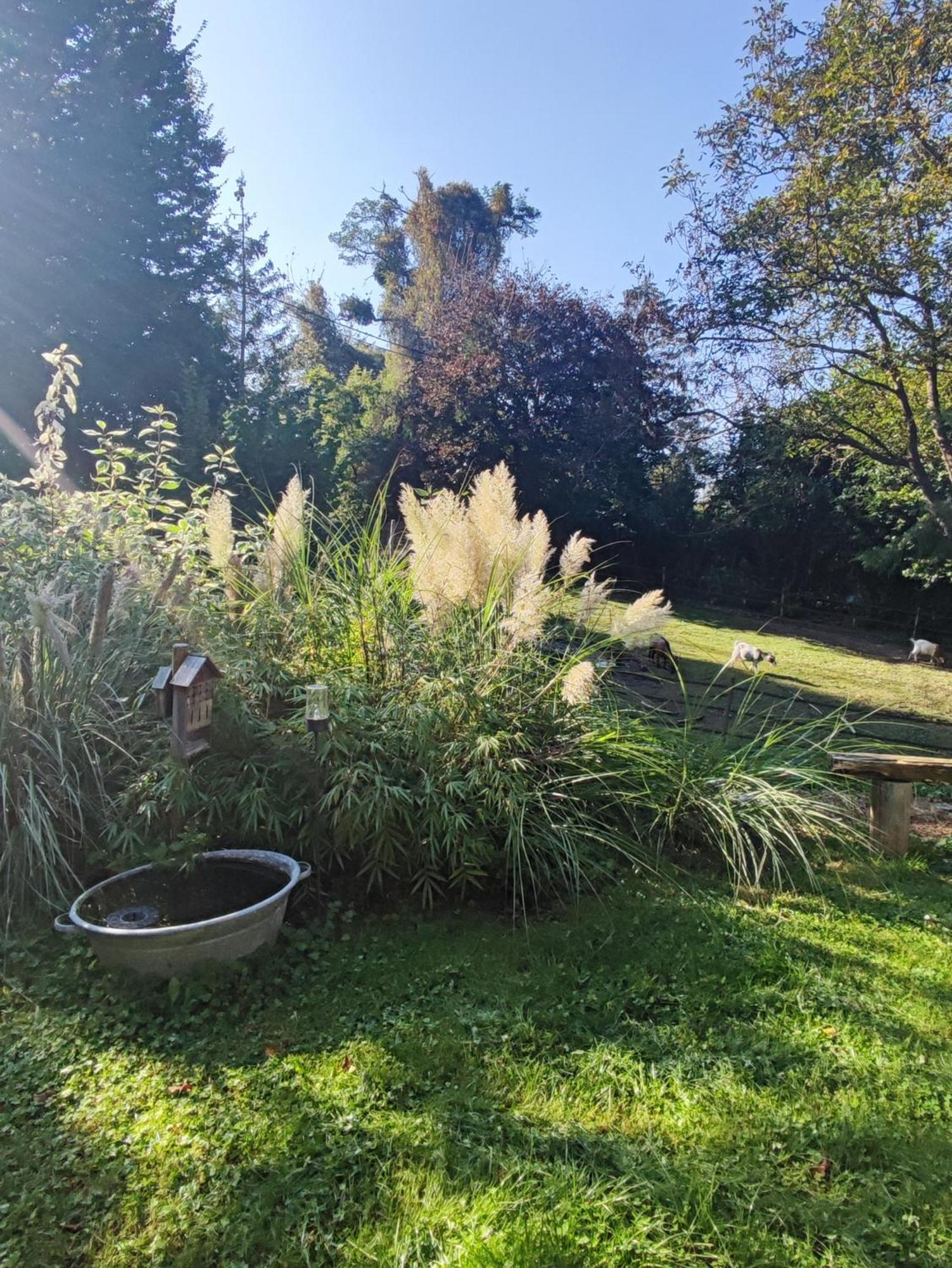 Au Pre De Mukky Villa Andenne Bagian luar foto
